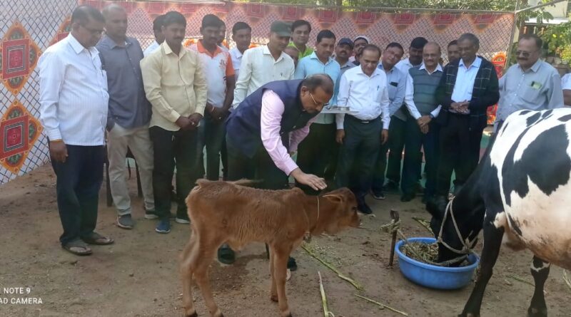 Embryo transplant technology is the need of the hour to produce indigenous cows of high pedigree - Chancellor Dr PG Patil