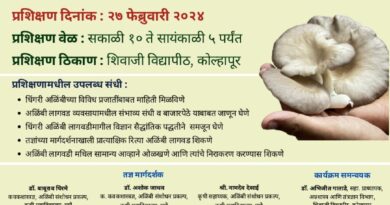 Organizing Dhingri Alibi (Oyster Mushroom) cultivation and processing training program in Shivaji University