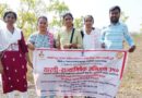 On the occasion of Shiv Rajyabhishek Day, the research students of Sarathi carried out a seed planting activity by planting seed balls in Pohra forest.