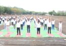 International Yoga Day celebrated with enthusiasm in MGAHV