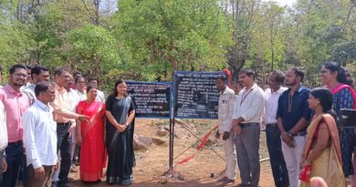 The first Gram Sabha Jangda (Bu) in Maharashtra will plant bamboo saplings in 20 ha area