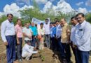 Plantation of trees on the occasion of 'Vrikhotsav Pandharwada' in Swami Ramanand Tirtha Marathwada University