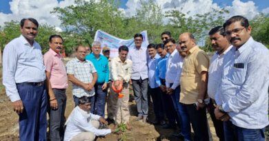 Plantation of trees on the occasion of 'Vrikhotsav Pandharwada' in Swami Ramanand Tirtha Marathwada University