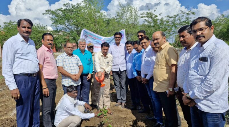 Plantation of trees on the occasion of 'Vrikhotsav Pandharwada' in Swami Ramanand Tirtha Marathwada University