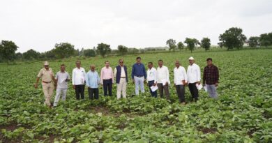 Chancellor Dr. Prashant Kumar Patil visited the seed production area of ​​Mahatma Phule Agricultural University