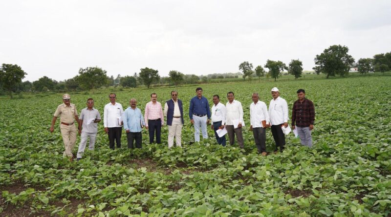 Chancellor Dr. Prashant Kumar Patil visited the seed production area of ​​Mahatma Phule Agricultural University