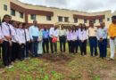 Dr Vitthal Shirke, Director of Research, planted trees in Halgaon College of Agriculture