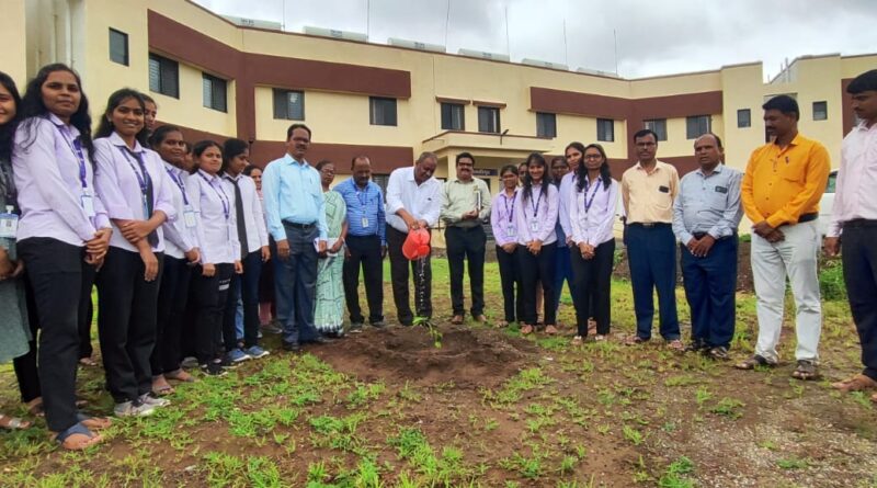 Dr Vitthal Shirke, Director of Research, planted trees in Halgaon College of Agriculture