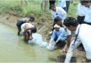 In association with Gondwana University and MAFSU, fish culture was started in the ponds of the prison premises