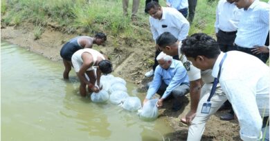 In association with Gondwana University and MAFSU, fish culture was started in the ponds of the prison premises