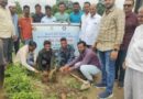 Maha tree planting at Kamkheda by National Service Scheme of Millia College