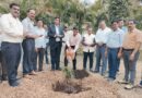 Assistant Registrar Pawar planted trees in Solapur University by giving 50 fruit saplings on his birthday