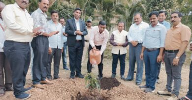 Assistant Registrar Pawar planted trees in Solapur University by giving 50 fruit saplings on his birthday