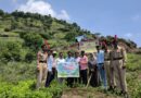 Plantation of trees on Satara Hills by National Service Scheme Department of Devagiri College