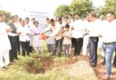 Punyashlok Ahilya Devi Holkar Launched 'One Lakh Tree Planting' initiative at Solapur University