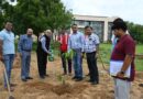 'Plant trees to save the environment' campaign organized in Central University of Haryana