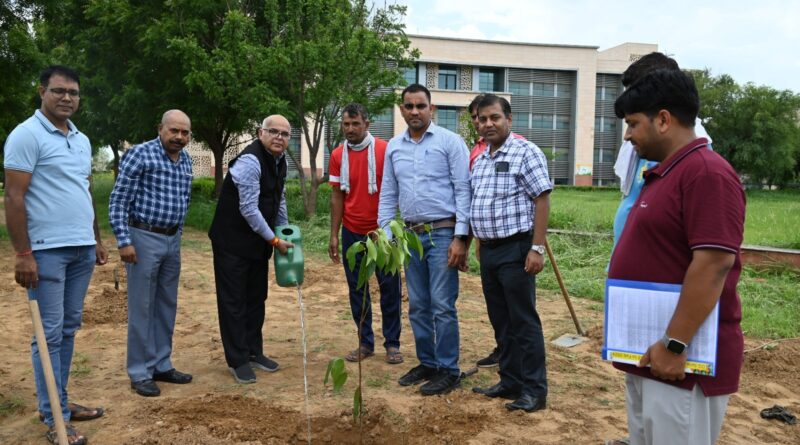 'Plant trees to save the environment' campaign organized in Central University of Haryana