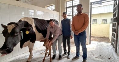 Female Sahiwal Calf Born Through Embryo Transfer at FVAS, Banaras Hindu University BHU