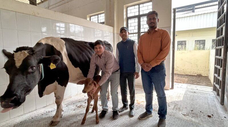 Female Sahiwal Calf Born Through Embryo Transfer at FVAS, Banaras Hindu University BHU