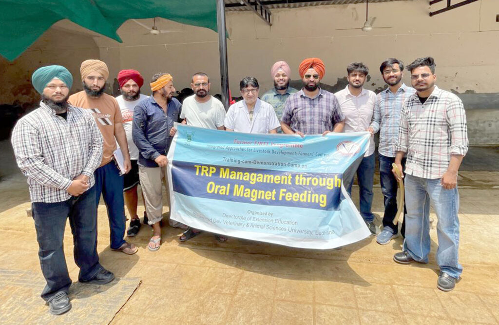 Vet Varsity Organizes Oral Magnet Therapy Camp to Prevent Deadly Livestock Diseases