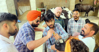 Vet Varsity Organizes Oral Magnet Therapy Camp to Prevent Deadly Livestock Diseases