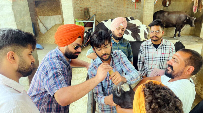 Vet Varsity Organizes Oral Magnet Therapy Camp to Prevent Deadly Livestock Diseases