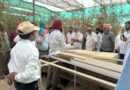 Two-Day Workshop on Medicinal Plants Production via Hydroponics Concludes at BFUHS