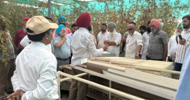 Two-Day Workshop on Medicinal Plants Production via Hydroponics Concludes at BFUHS
