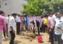 North Maharashtra University under the 'Ek Peed Maa Ke Naam 2.0' initiative