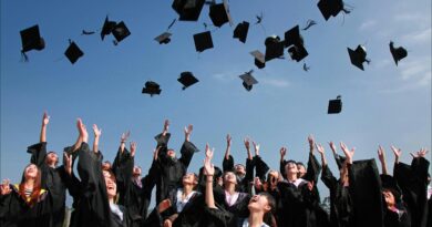 New degree courses