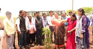VC Dr. Prakash Mahanwar planted trees at Solapur University on his birthday
