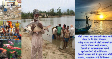 National Fish Farmers Day celebrated in Guru Angad Dev Veterinary and Animal Sciences University