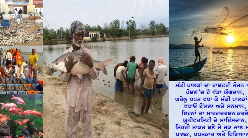 National Fish Farmers Day celebrated in Guru Angad Dev Veterinary and Animal Sciences University