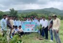Plantation of 600 trees by Devgiri College in Chhatrapati Sambhajinagar