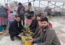 Terrace Kitchen Gardening done by Indira Gandhi University