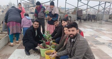 Terrace Kitchen Gardening done by Indira Gandhi University