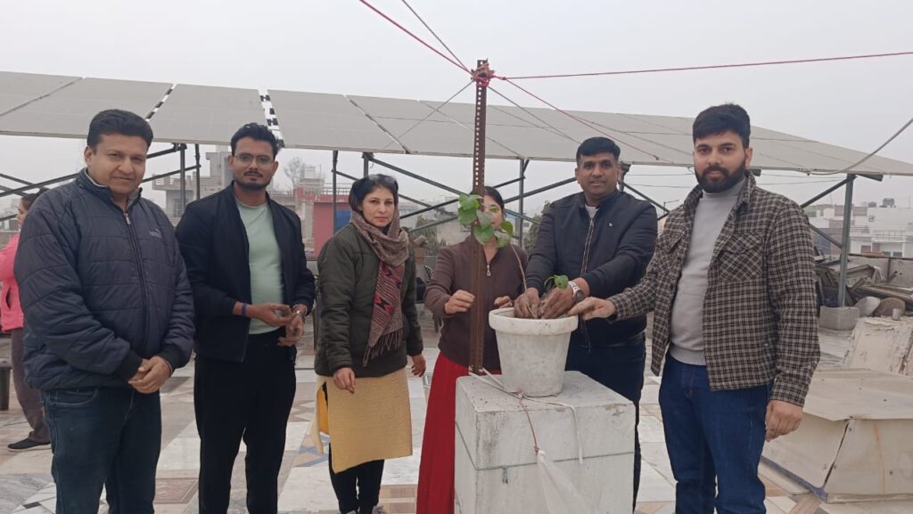 Terrace Kitchen Gardening done by Indira Gandhi University