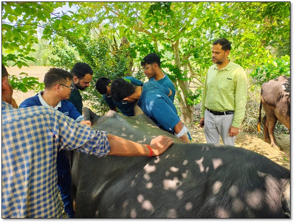 Awareness and Animal Health Program organized by Indian Veterinary Research Institute on National Technology Day
Information about scientific animal husbandry and advanced techniques was given to animal husbandry in Kairuwa village